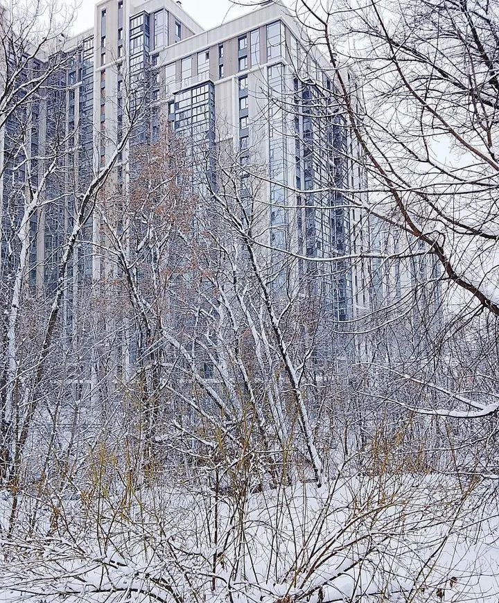 Выходные без гаджетов