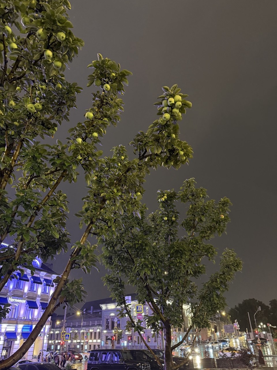 Эмоции с прогулки 2